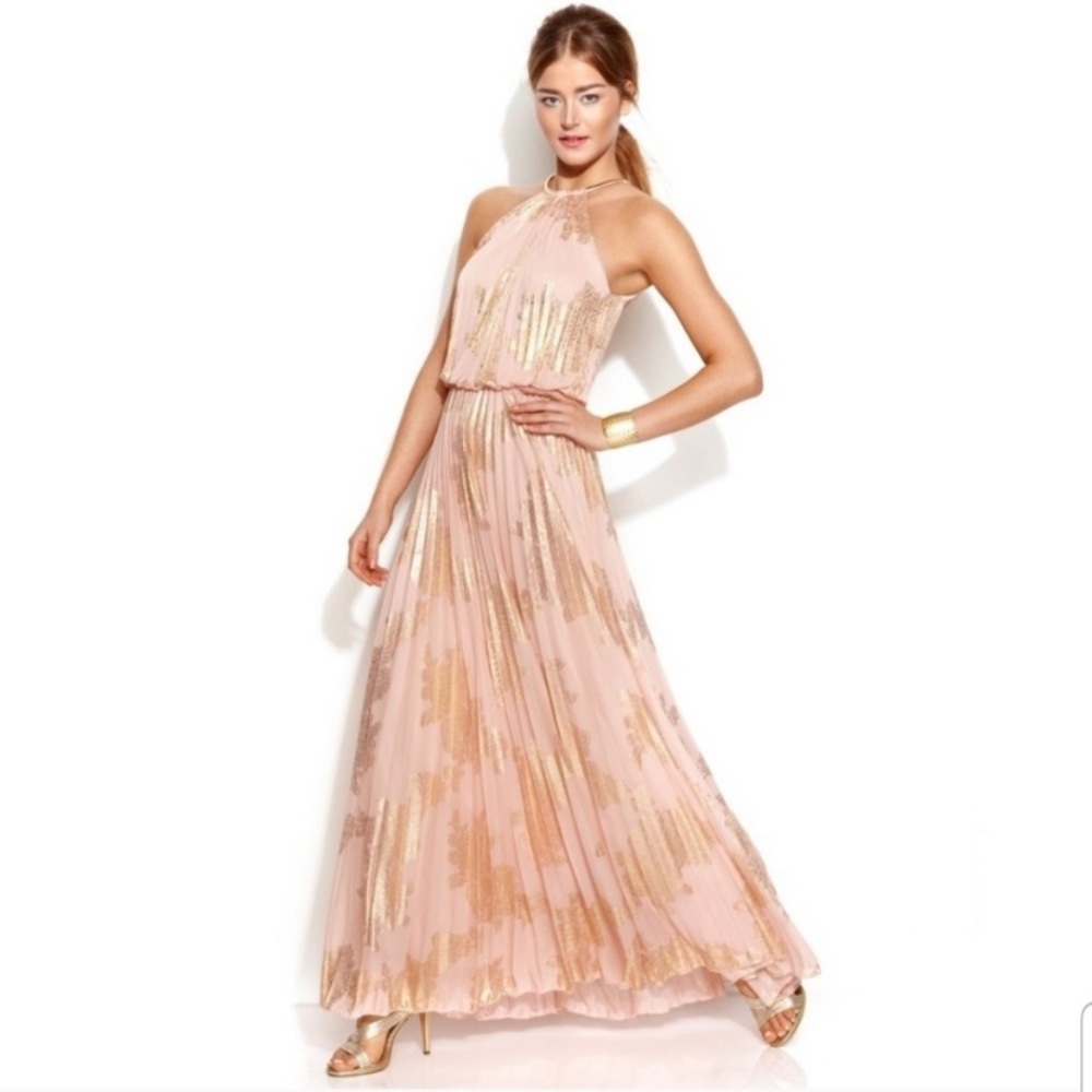 Light pink and gold Xscape gown